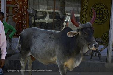 01 PKW-Reise_Mount_Abu-Udaipur_DSC4167_b_H600